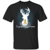 Expecto Patronum Appendix Cancer Awareness T-shirt Harry Potter Patronus Tee  All Day Tee