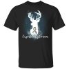 Expecto Patronum Autism Awareness T-shirt Harry Potter Patronus Tee  All Day Tee