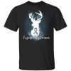 Expecto Patronum Brain Cancer Awareness T-shirt Harry Potter Patronus Tee  All Day Tee