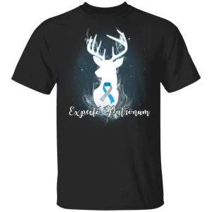 Expecto Patronum Diabetes Awareness T-shirt Harry Potter Patronus Tee All Day Tee 2 Expecto Patronum Diabetes Awareness T shirt Harry Potter Patronus Tee All Day Tee 3