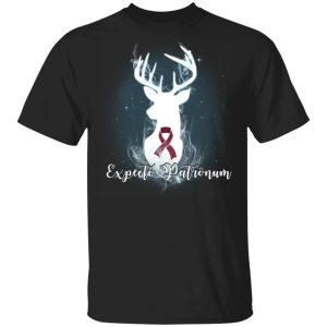 Expecto Patronum Multiple Myeloma Awareness T shirt Harry Potter Patronus Tee All Day Tee 3