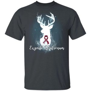 Expecto Patronum Multiple Myeloma Awareness T shirt Harry Potter Patronus Tee All Day Tee 4