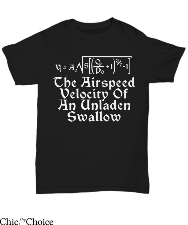 Monty Python T-shirt Airspeed Velocity Funny Holy Grail Math