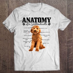 Anatomy Of A Goldendoodle Funny Cute Dog Doodle Mom Dad