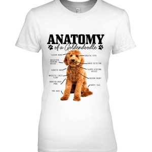 Anatomy Of A Goldendoodle Funny Cute Dog Doodle Mom Dad