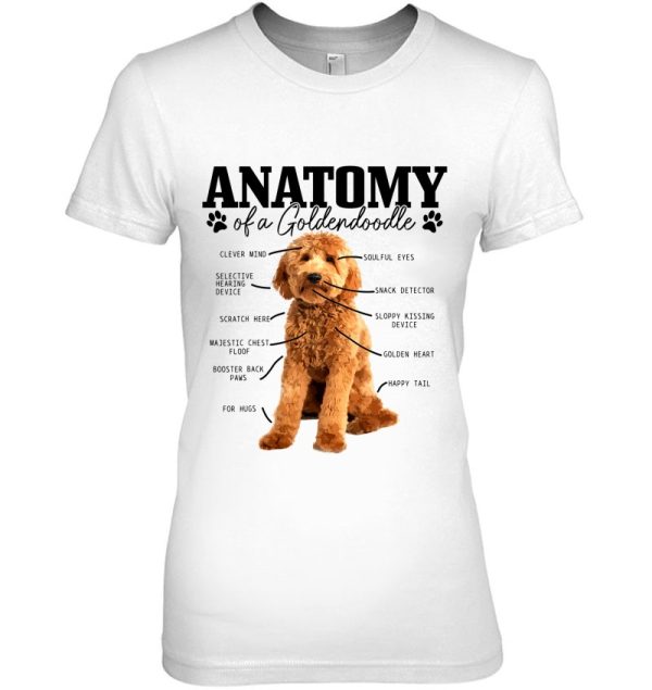 Anatomy Of A Goldendoodle Funny Cute Dog Doodle Mom Dad