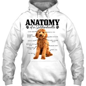 Anatomy Of A Goldendoodle Funny Cute Dog Doodle Mom Dad 3