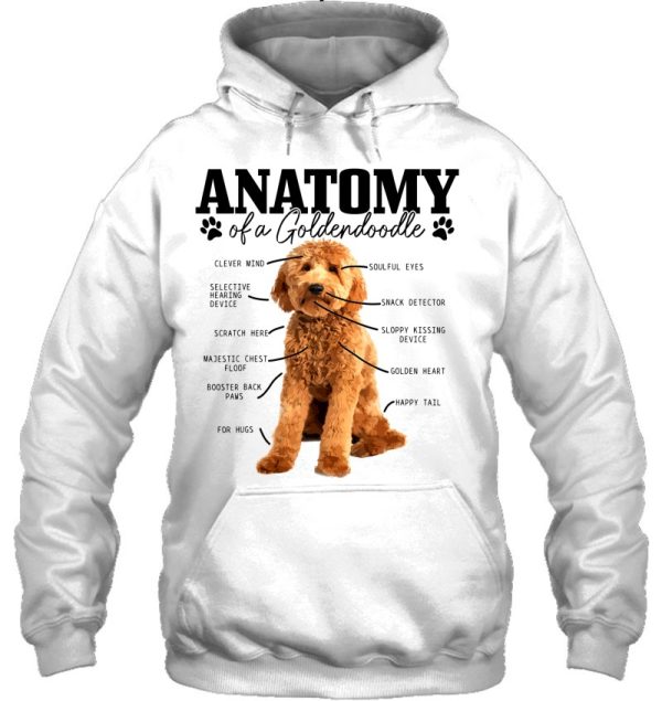 Anatomy Of A Goldendoodle Funny Cute Dog Doodle Mom Dad