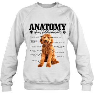 Anatomy Of A Goldendoodle Funny Cute Dog Doodle Mom Dad 4
