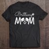 Brittany Spaniel Dog Rescue Brittany Mom