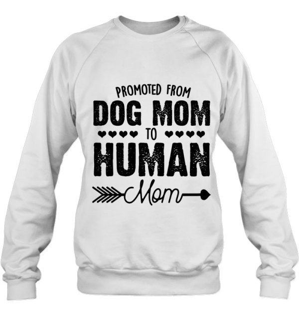 Funny Dog Mom Shirts Promoted From Dog Mom To Human Mom 2023 Retro