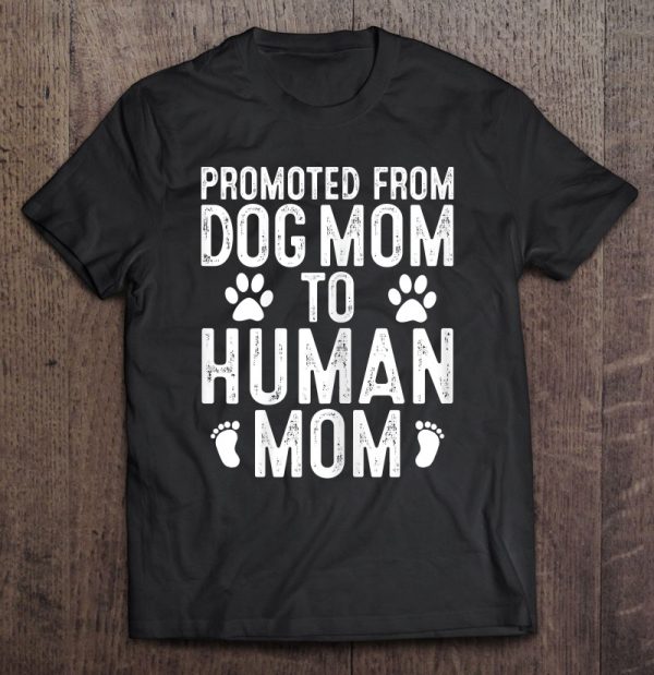 Funny New Mom Baby Gift Promoted From Dog Mom To Human Mom