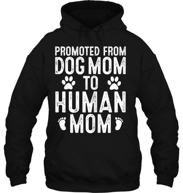 Funny New Mom Baby Gift Promoted From Dog Mom To Human Mom