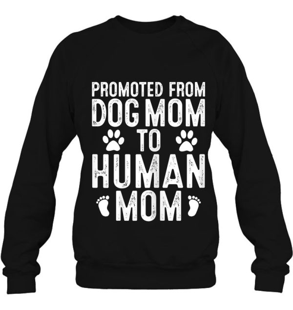 Funny New Mom Baby Gift Promoted From Dog Mom To Human Mom