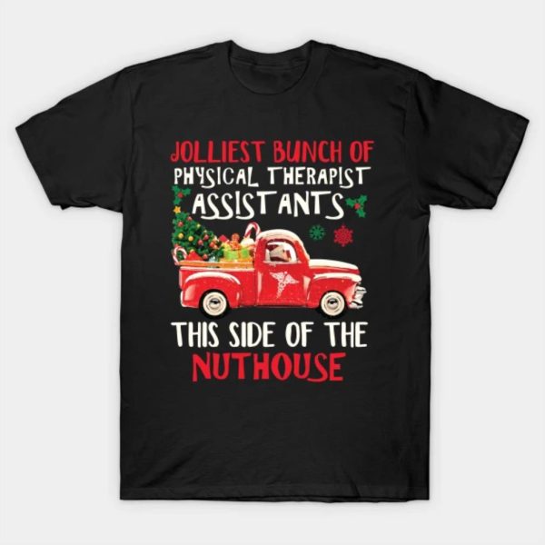 Jolliest bunch of physical therapist assist ants this side of the nuthouse Merry Christmas 2022 T-shirt