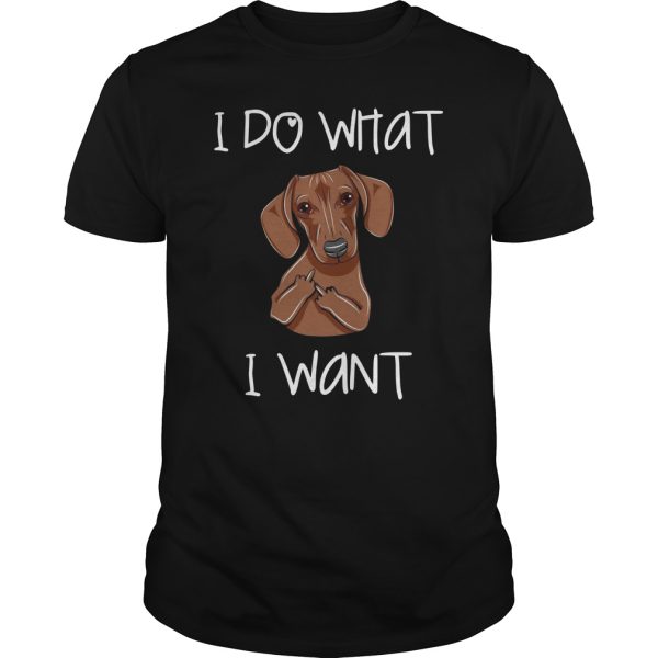 Dachshund I do what I want shirt, hoodie, long sleeve