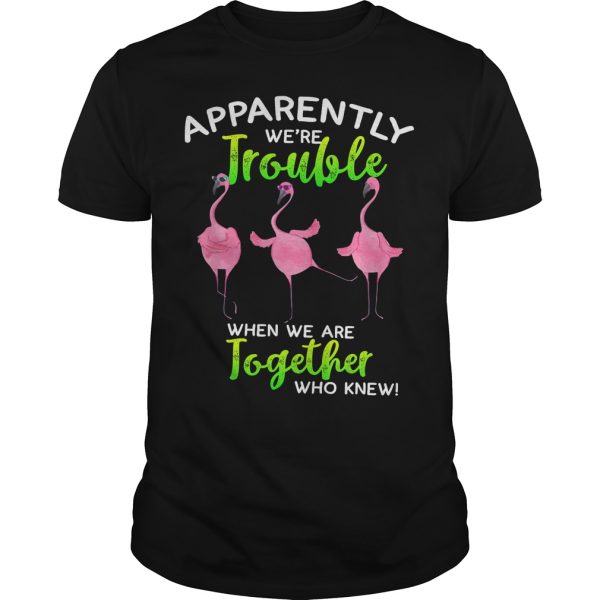 Flamingo apparently trouble when we are together who knew shirt