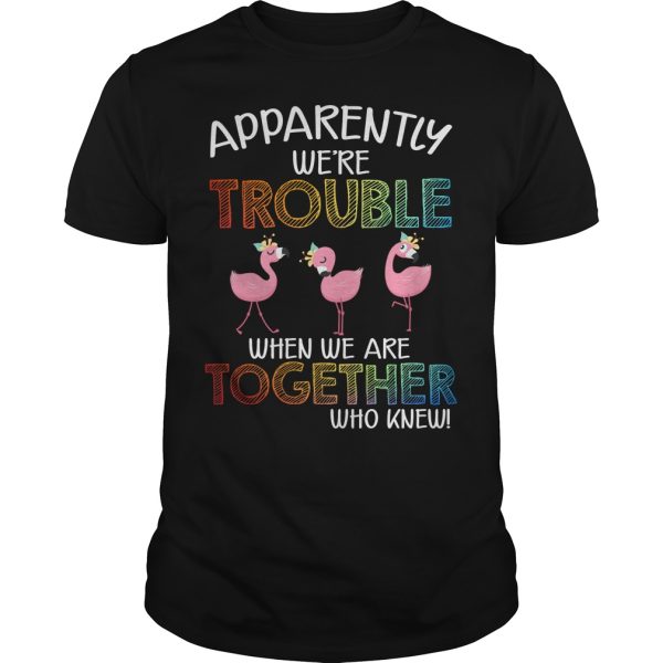 Flamingos apparently we’re trouble when we are together who knew shirt