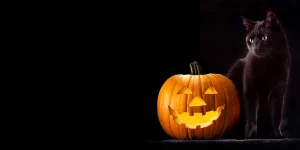 little sleepies halloween