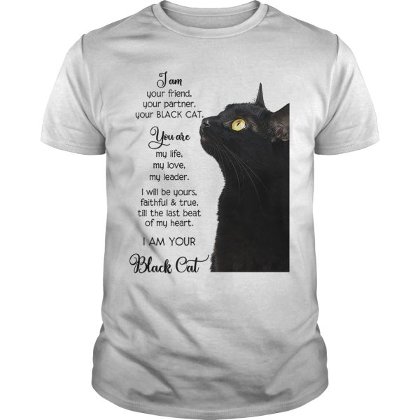 I am your friend your partner your black cat shirt, hoodie