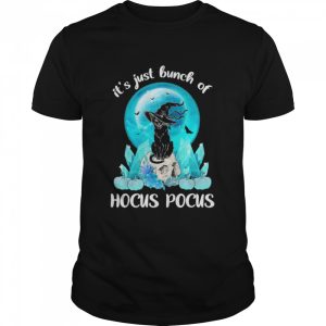 Vintage Halloween Black Cat It’s Just A Bunch Of Hocus Pocus Halloween 2022 T-Shirt Vintage Halloween Black Cat It’s Just A Bunch Of Hocus Pocus Halloween 2022 T-Shirt