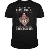All I Want For Christmas Is A Dachshund Christmas shirt