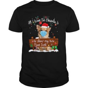 All I Want For Christmas Is To Show My Turo Front Teeth Merry Christmas shirt