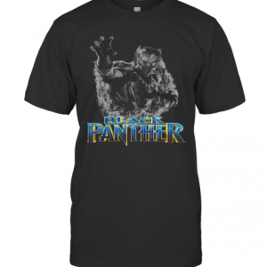 Black Panther Chadwick Boseman Thank You For The Memories T-Shirt
