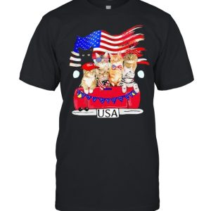 Car Usa American Flag Cats Shirt