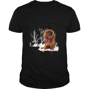 Cavalier King Charles Spaniel Merry Christmas shirt