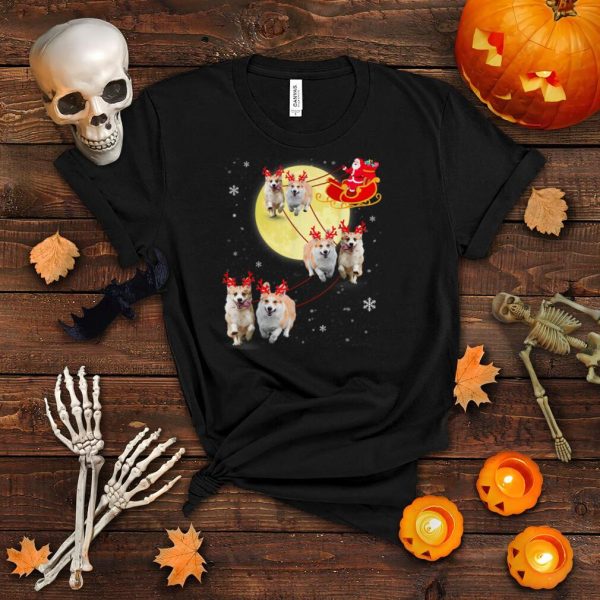 Christmas Reindeer Corgi Dog Sleigh Funny Christmas T Shirt