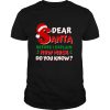 Dear Santa Before I Explain How Much Do You Know shirt