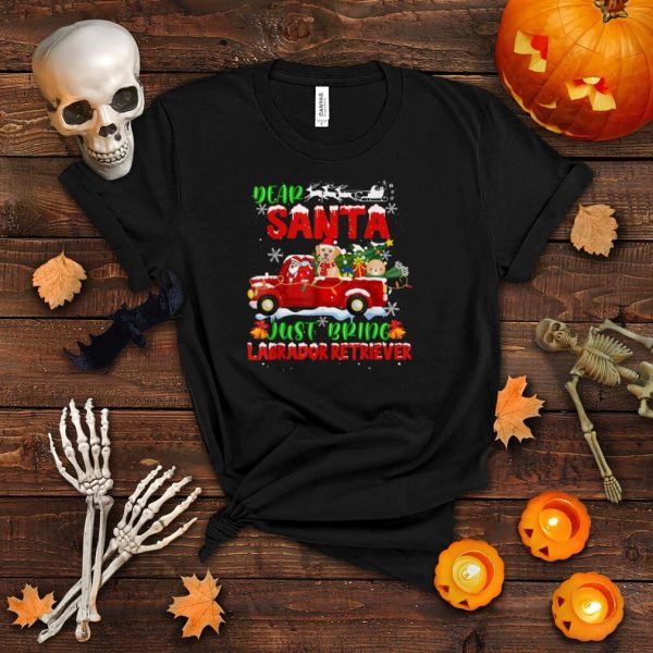 Dear Santa Just Bring Labrador Retriever Dog Funny Christmas T Shirt