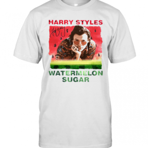 I Have Harry Styles Watermelon Sugar T-Shirt