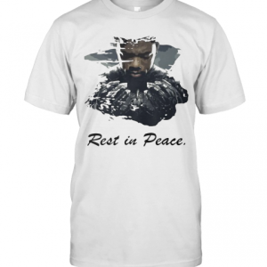 Marvel Heroes Black Panther Rip Chadwick Rest In Peace T-Shirt