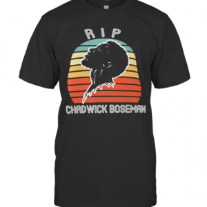 Rip Black Panther Chadwick Boseman Vintage Retro T-Shirt