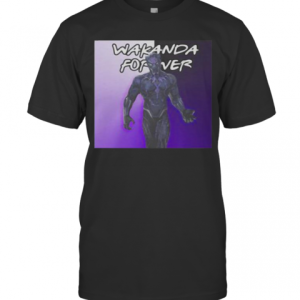 Wakanda Forever Rip Chadwick Boseman Black Panther Rest In Power T-Shirt