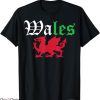 Wales Rugby T-Shirt Welsh Pride Wales Flag T-Shirt MLB
