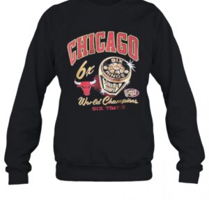 Chicago Bulls 6X World Champions Six Times T-Shirt