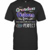 Im A Grandma And A Gators Fan Which Means Im Pretty Much Perfect T-Shirt