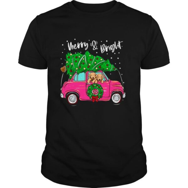 Merry And Bright Pitbull Dog Ugly Christmas shirt