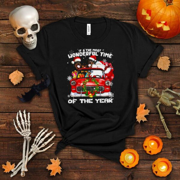 Merry Christmas It’s The Most Wonderful Time Of The Year Shirt