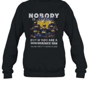 Nobody Is Perfect But If You Are A Michigan Wolverines Fan You’Re Pretty Damn Close T-Shirt