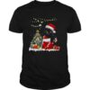 Santa Black Cat Christmas shirt