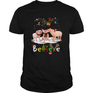 Santa Pig Believe Christmas shirt