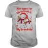 Snowman All I Want For Christmas Is My Grandkids shirt