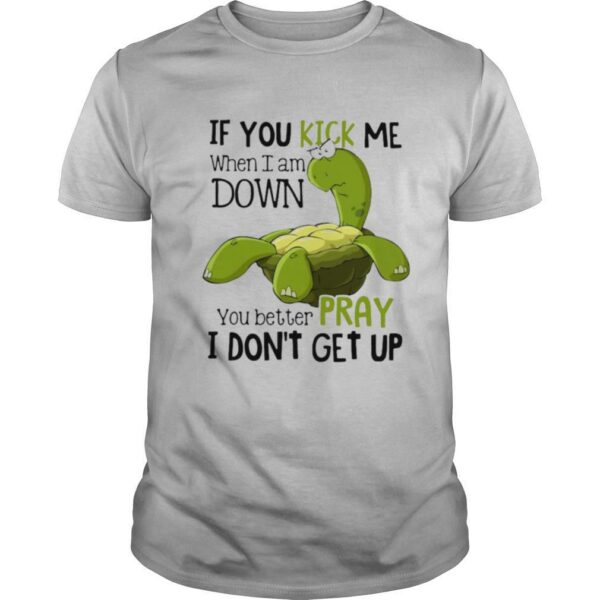 Turtle If You Kick Me When I Am Down You Better Pray I Don’t Get Up shirt