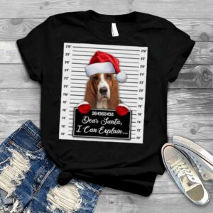 Santa Basset Hound dear santa I can explain 2022 Christmas shirt