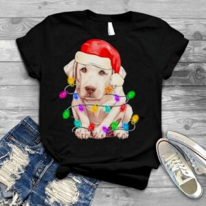 Santa Dog Lover Christmas 2022 shirt
