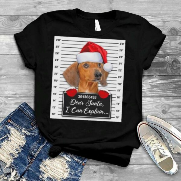 Santa Red Dachshund dear santa I can explain 2022 Christmas shirt